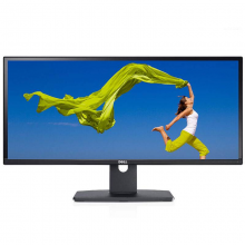 戴尔 U2913WM 29寸宽 S-IPS 广色域 广视角显示器 （单位：台）